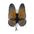 Wings Butterfly Orange