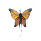 Wings Child Butterfly Ornge