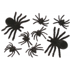 Spider Family 8 Card Blk Fuzzy
