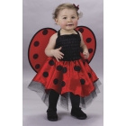 Lady Bug Infant Costume