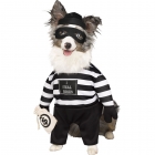 Robber Pup Pet Costume Xl