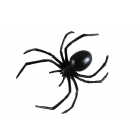 Black Widow Spider 6Inch