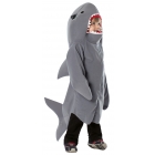 Shark Toddler 3-4T