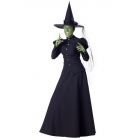 Wicked Witch Adult Med