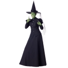 Wicked Witch Adult Small