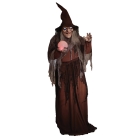 Soothsayer Digiteye Witch Prop