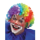 Wig 7 Color Clown