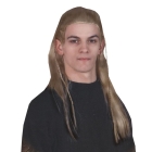 Lord Of Rings Legolas Wig