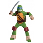 Teenage Mutant Ninja Turtles Leonardo Child Lg