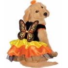 Pet Costume Butterfly Medium