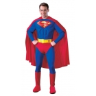 Superman Adult Muscle Dlx Sm