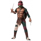 Teenage Mutant Ninja Turtles Raphael Child Lg