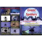 Dvd Giant Spiders Crawling