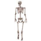 Skeleton Poseable