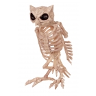 Skeleton Owl