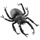 Black Beetle 8 Inches