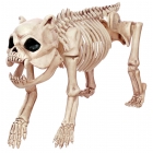 Bones The Dog