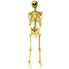 Skeleton Pose And Hold