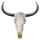 Longhorn Skull 24 Inch Lightup