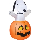 Airblown Snoopy In Pumpkin W/W