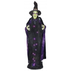 Witch W/Sound 6Ft Lightup Hang