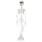 Mermaid Skeleton 30 In