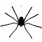 Roping Giant Spider