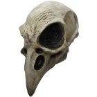 Crow Skull Adult Latex Mask