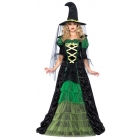 Storybook Witch Adult Small