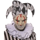 Collar Harlequin